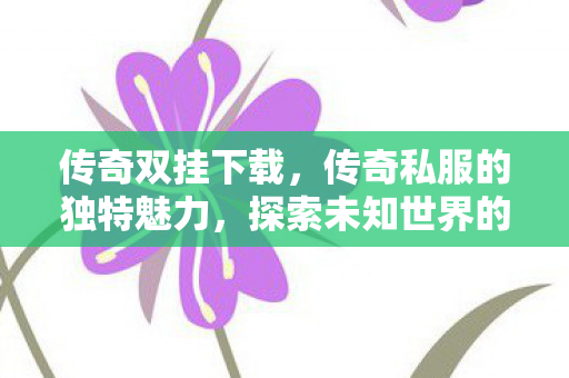 传奇双挂下载，传奇私服的独特魅力，探索未知世界的无限可能
