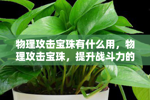 物理攻击宝珠有什么用，物理攻击宝珠，提升战斗力的神秘宝物