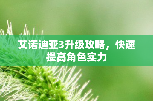 艾诺迪亚3升级攻略,快速提高角色实力 艾诺迪亚3升级攻略,快速提高角色实力