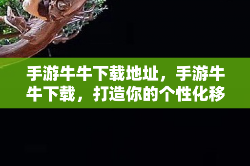 手游牛牛下载地址，手游牛牛下载，打造你的个性化移动娱乐空间