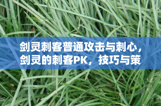 剑灵刺客普通攻击与刺心，剑灵的刺客PK，技巧与策略的深度解析