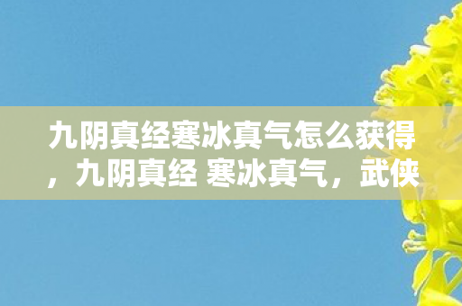 九阴真经寒冰真气怎么获得，九阴真经 寒冰真气，武侠世界中的绝世神功