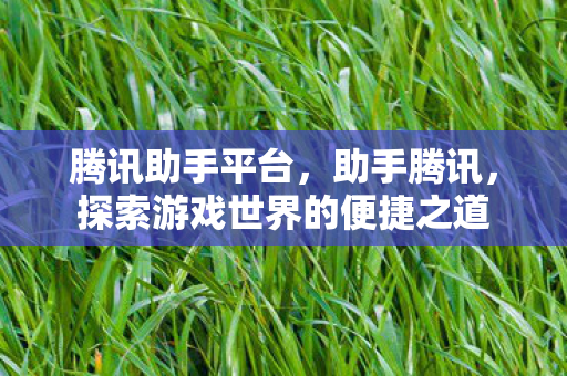 腾讯助手平台，助手腾讯，探索游戏世界的便捷之道