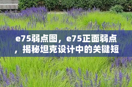 e75弱点图，e75正面弱点，揭秘坦克设计中的关键短板