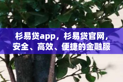 杉易贷app，杉易贷官网，安全、高效、便捷的金融服务新选择