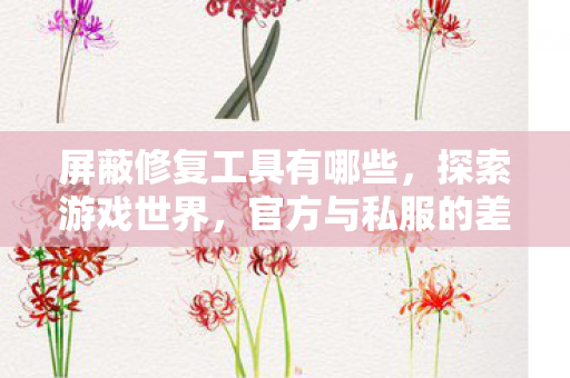 屏蔽修复工具有哪些，探索游戏世界，官方与私服的差异与选择