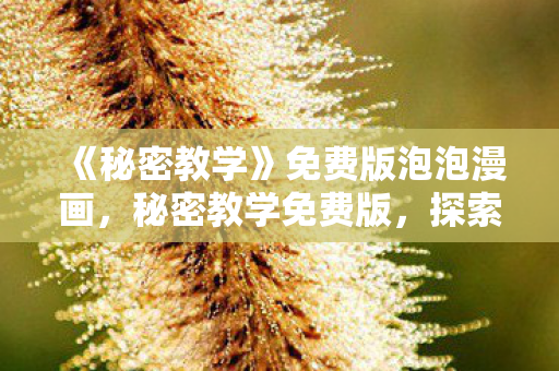 《秘密教学》免费版泡泡漫画，秘密教学免费版，探索知识的无限可能