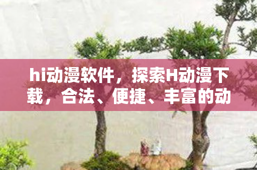 hi动漫软件，探索H动漫下载，合法、便捷、丰富的动漫资源获取方式