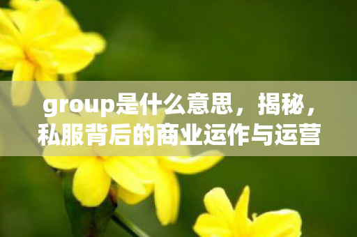 group是什么意思，揭秘，私服背后的商业运作与运营策略