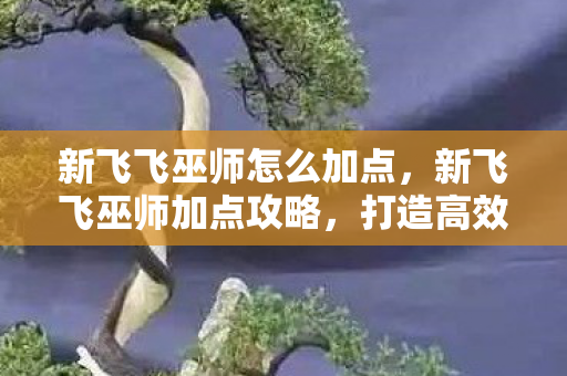 新飞飞巫师怎么加点，新飞飞巫师加点攻略，打造高效战斗法师