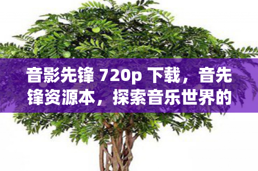 音影先锋 720p 下载，音先锋资源本，探索音乐世界的无限可能