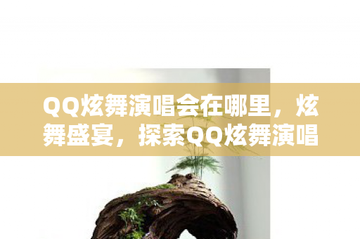 QQ炫舞演唱会在哪里，炫舞盛宴，探索QQ炫舞演唱会背后的音乐与梦想