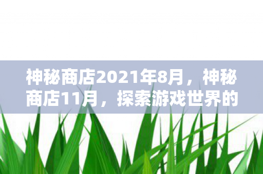 神秘商店2021年8月，神秘商店11月，探索游戏世界的奇妙之旅