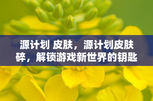 源计划 皮肤，源计划皮肤碎，解锁游戏新世界的钥匙
