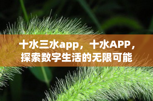 十水三水app，十水APP，探索数字生活的无限可能