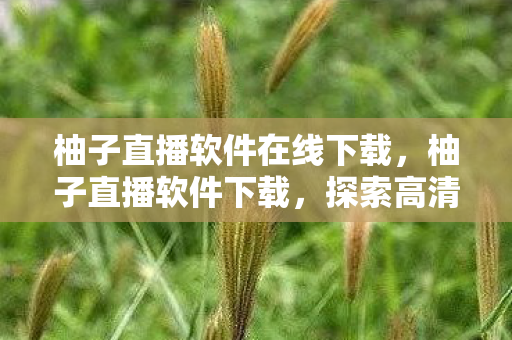 柚子直播软件在线下载，柚子直播软件下载，探索高清直播新体验