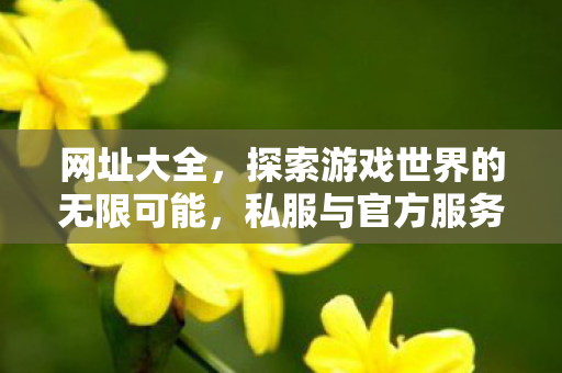 网址大全，探索游戏世界的无限可能，私服与官方服务器的独特魅力