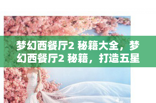 梦幻西餐厅2 秘籍大全，梦幻西餐厅2 秘籍，打造五星级餐厅的秘诀