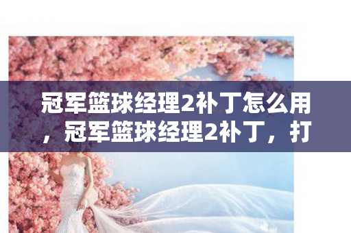 冠军篮球经理2补丁怎么用，冠军篮球经理2补丁，打造个性化游戏体验