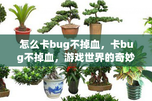 怎么卡bug不掉血，卡bug不掉血，游戏世界的奇妙探索与玩家智慧