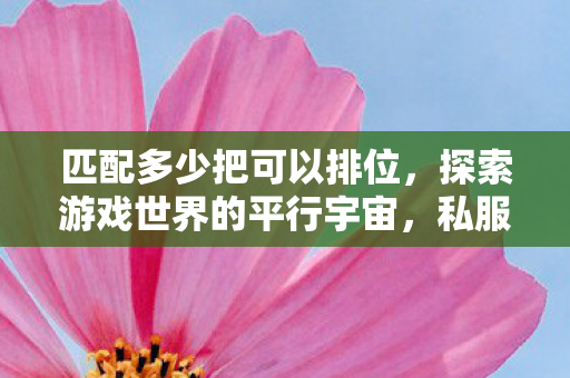 匹配多少把可以排位，探索游戏世界的平行宇宙，私服与官方服务器的独特魅力对比