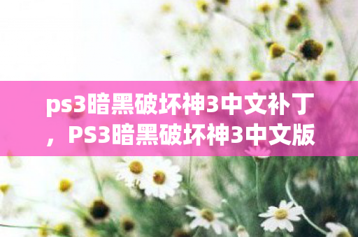 ps3暗黑破坏神3中文补丁，PS3暗黑破坏神3中文版的独特魅力与回忆