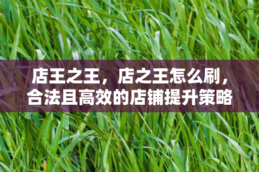 店王之王，店之王怎么刷，合法且高效的店铺提升策略