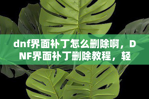 dnf界面补丁怎么删除啊，DNF界面补丁删除教程，轻松移除多余补丁
