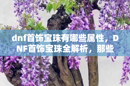 dnf首饰宝珠有哪些属性，DNF首饰宝珠全解析，那些令人惊艳的3字以上选择