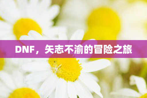 DNF，矢志不渝的冒险之旅