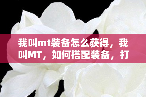 我叫mt装备怎么获得，我叫MT，如何搭配装备，打造最强战力