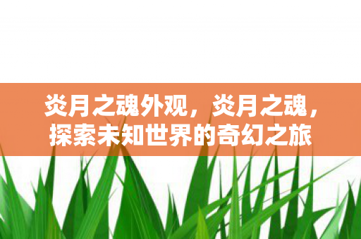 炎月之魂外观，炎月之魂，探索未知世界的奇幻之旅
