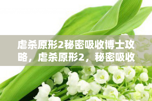 虐杀原形2秘密吸收博士攻略，虐杀原形2，秘密吸收博士的未解之谜