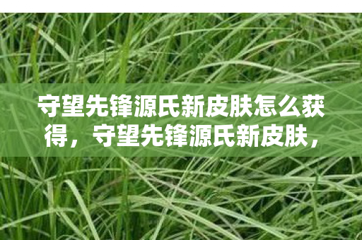 守望先锋源氏新皮肤怎么获得，守望先锋源氏新皮肤，影舞之龙，震撼登场！