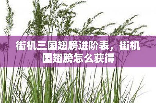 街机三国翅膀进阶表，街机国翅膀怎么获得