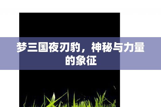梦三国夜刃豹，神秘与力量的象征