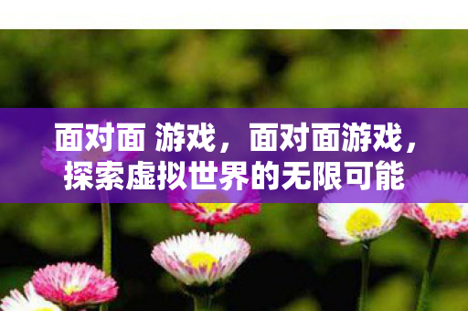 面对面 游戏，面对面游戏，探索虚拟世界的无限可能