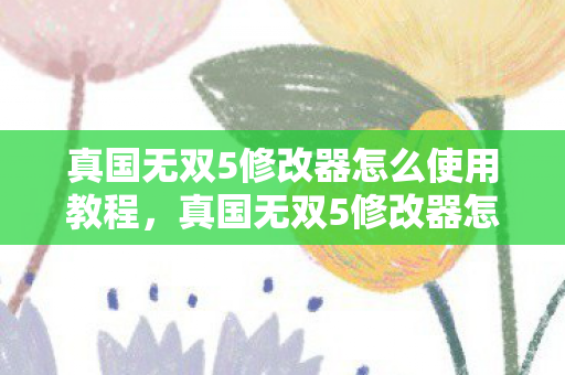 真国无双5修改器怎么使用教程，真国无双5修改器怎么使用