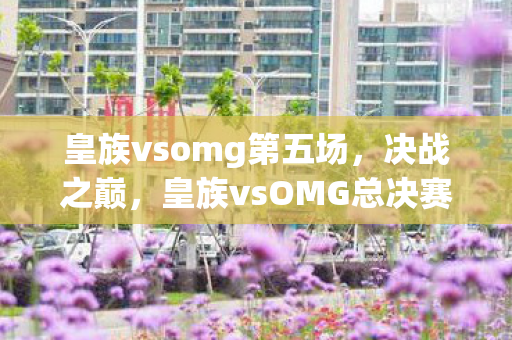 皇族vsomg第五场，决战之巅，皇族vsOMG总决赛的激情碰撞