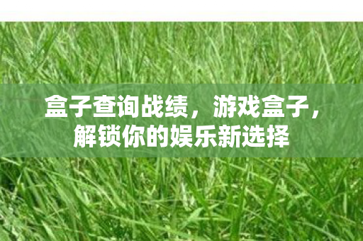 盒子查询战绩，游戏盒子，解锁你的娱乐新选择