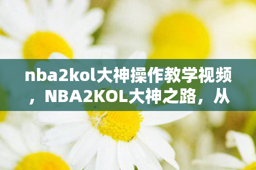 nba2kol大神操作教学视频，NBA2KOL大神之路，从新手到高手的蜕变之旅