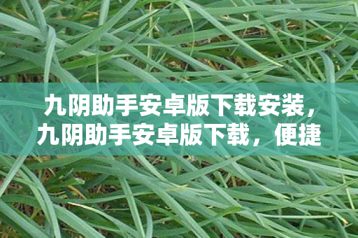 九阴助手安卓版下载安装，九阴助手安卓版下载，便捷体验，官方授权