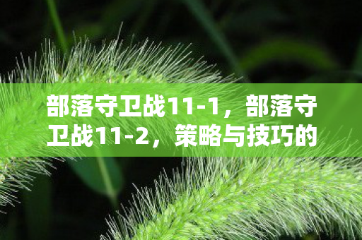 部落守卫战11-1，部落守卫战11-2，策略与技巧的深度剖析