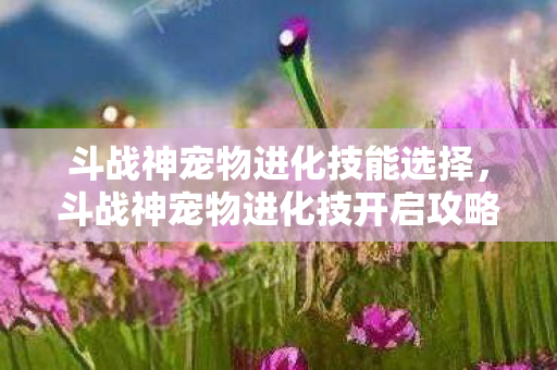 斗战神宠物进化技能选择，斗战神宠物进化技开启攻略