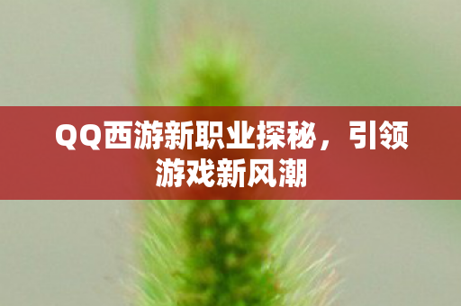 QQ西游新职业探秘，引领游戏新风潮