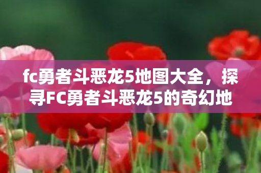 fc勇者斗恶龙5地图大全，探寻FC勇者斗恶龙5的奇幻地图