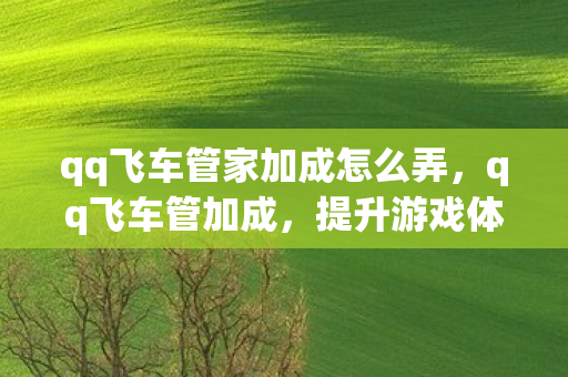 qq飞车管家加成怎么弄，qq飞车管加成，提升游戏体验的秘诀