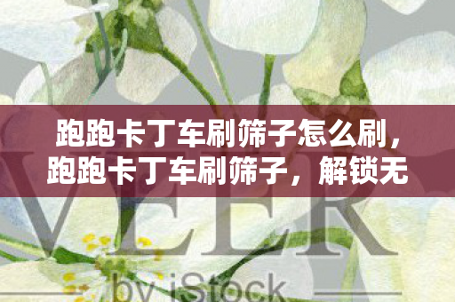 跑跑卡丁车刷筛子怎么刷，跑跑卡丁车刷筛子，解锁无限可能的竞速之旅