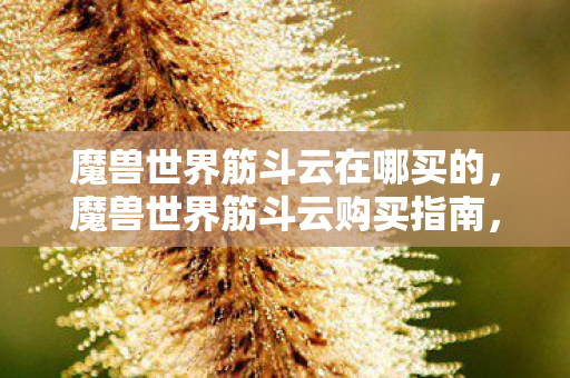 魔兽世界筋斗云在哪买的，魔兽世界筋斗云购买指南，官方渠道与获取方式