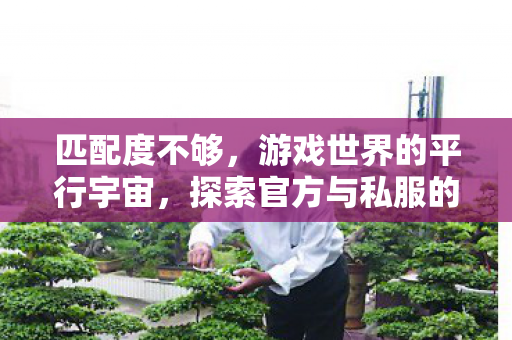 匹配度不够，游戏世界的平行宇宙，探索官方与私服的不同游戏体验